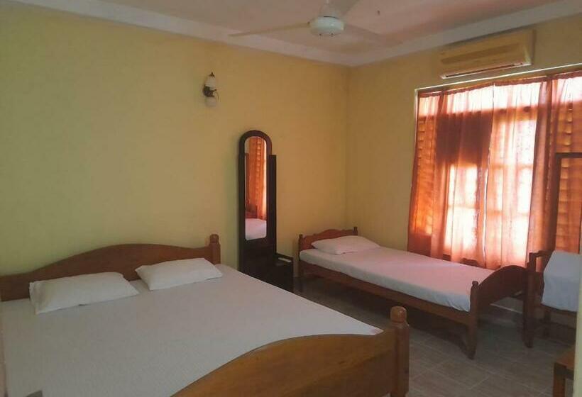 اتاق خانوادگی, Green Parrot Family Resort