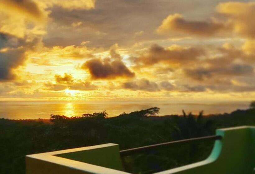 اتاق سوپریور, Vista Ballena