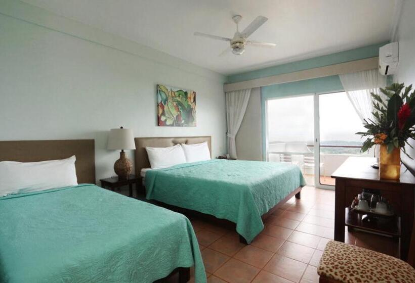 اتاق سوپریور, Vista Ballena