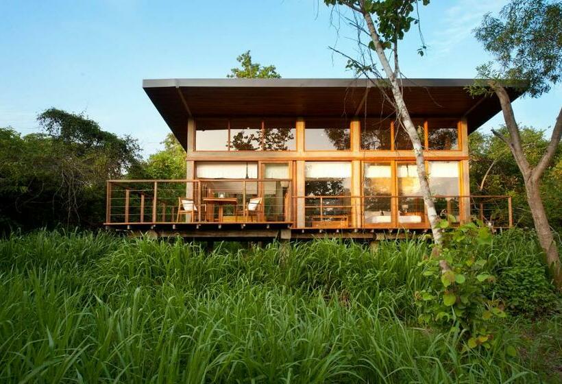 سوییت لوکس, Wild Grass Nature Resort