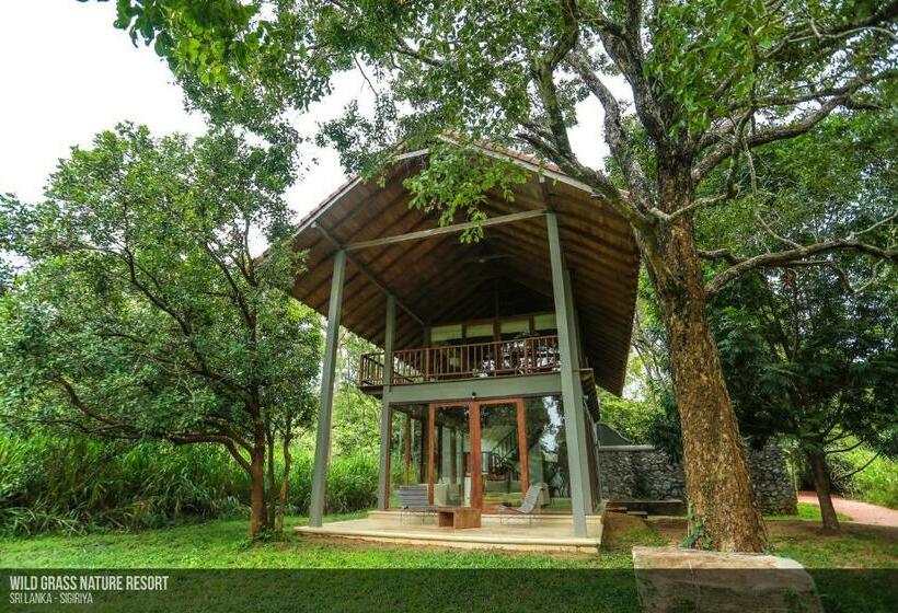 سوییت لوکس, Wild Grass Nature Resort