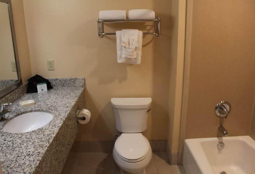 Люкс, Wyndham Garden Lancaster Ca