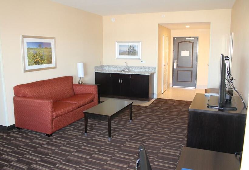 Люкс Адаптированный для Инвалидов, Wyndham Garden Lancaster Ca