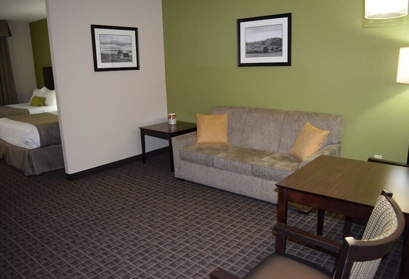 Люкс Адаптированный для Инвалидов, Best Western Plus Havre Inn & Suites