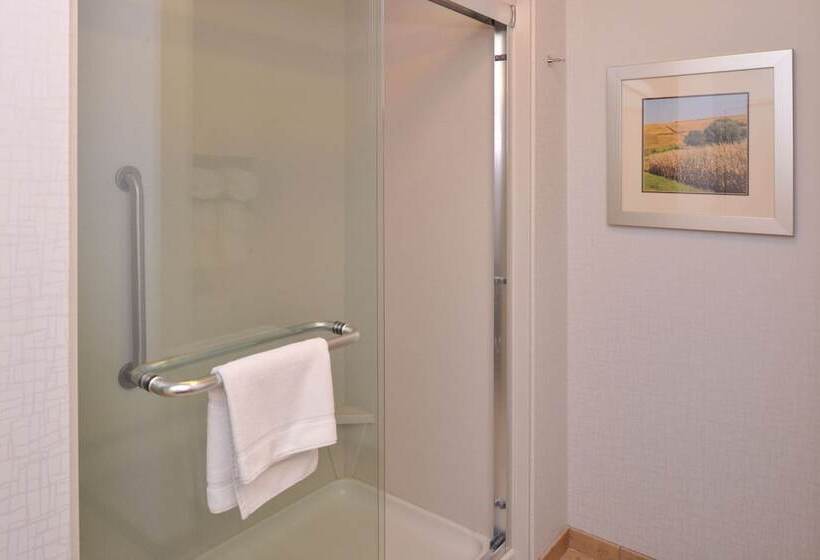 Номер Стандарт 2 Двуспальные Кровати, Hampton Inn Omaha Midtownaksarben Area