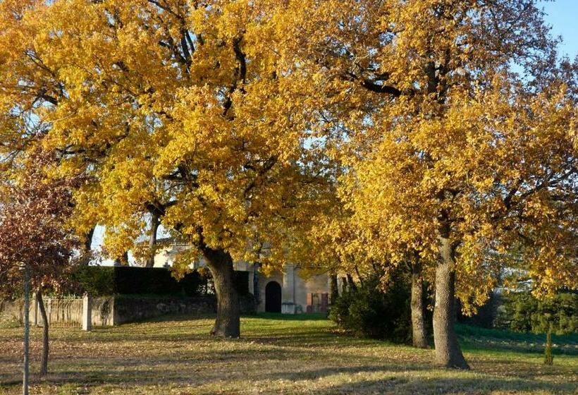 Номер Стандарт, Clos De La Dîme