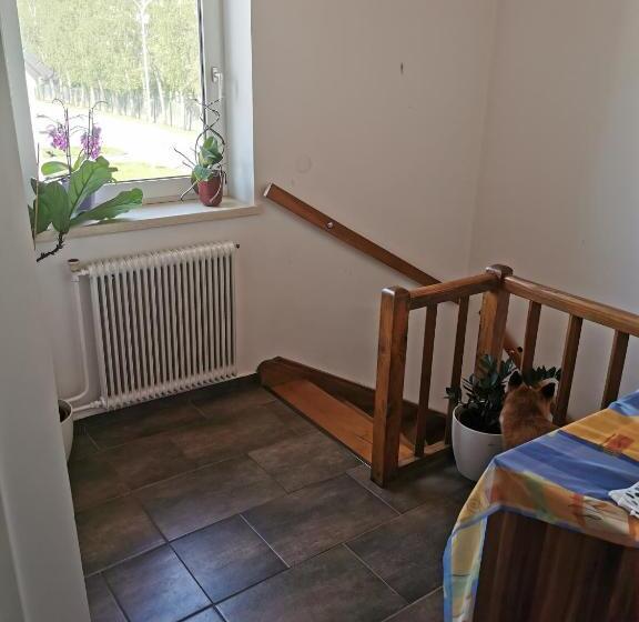 Family Suite, Ferienwohnung Solebad