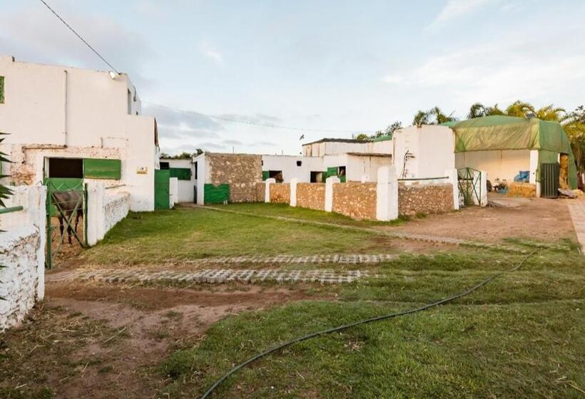 Family Suite, Elaaz Horse Farm