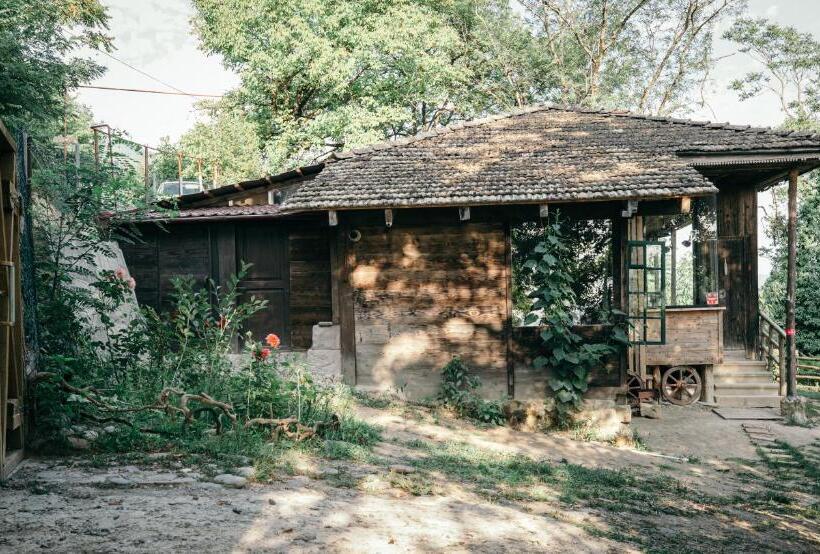 ویلای 3 خوابه, Wine Space