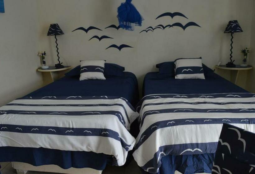 Quarto Estandar, Yacht Club Sal