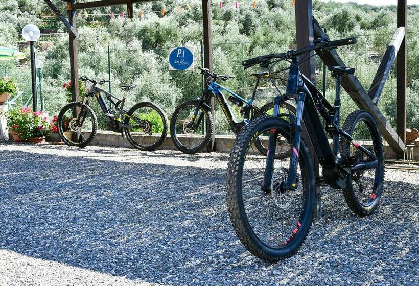 Студио Стандарт с Террасой, Gli Angeli Agriturismo