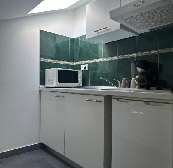オーシャンビューバルコニー付スタンダードワンルーム, Aparthotel Plat