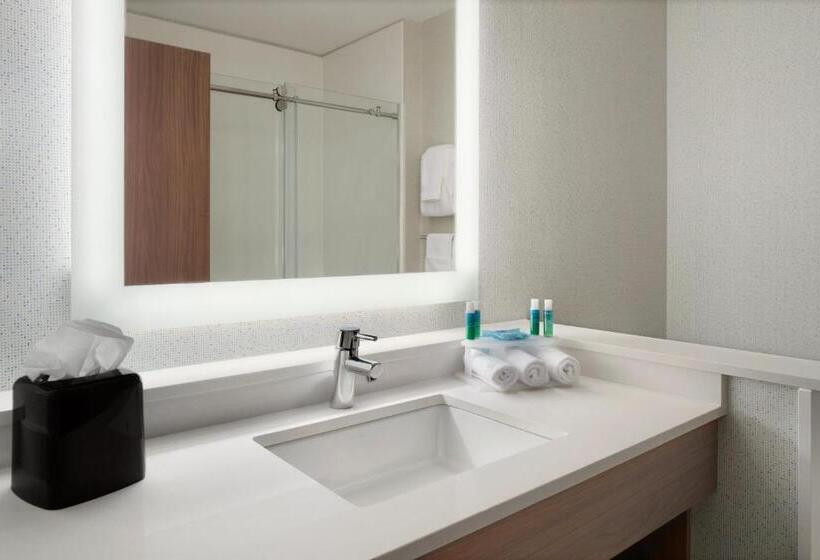 스위트 킹사이즈 침대, Holiday Inn Express & Suites Duluth North   Miller Hill, An Ihg