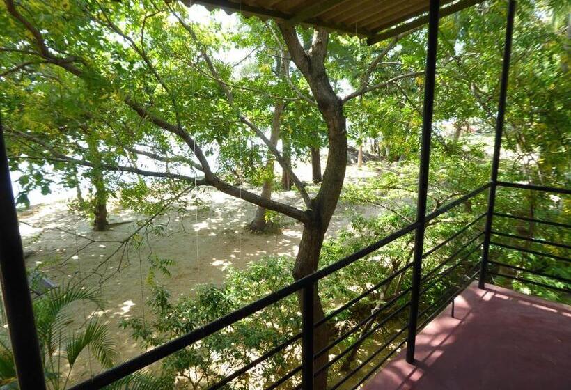 اتاق خانوادگی, Riviera Resort