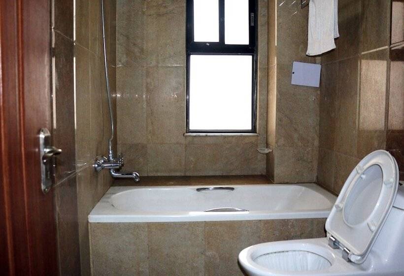 اتاق سوپریور یک تخته, Alpine Hotel & Apartment
