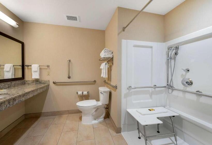 Номер Стандарт Кровать Кинг Адаптированный для Инвалидов, Best Western Plus French Lick