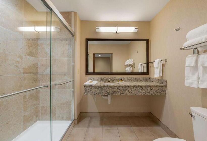 Номер Стандарт Адаптированный для Инвалидов, Best Western Plus French Lick