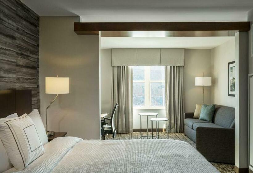 Студио Стандарт Кровать Кинг, Fairfield By Marriott Waterbury Stowe