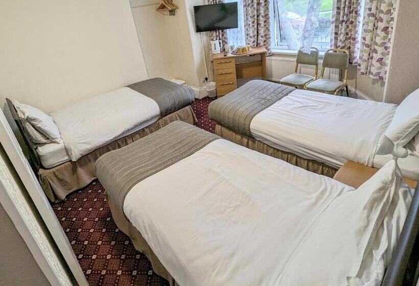 Номер Стандарт Трехместный, The George Guest House