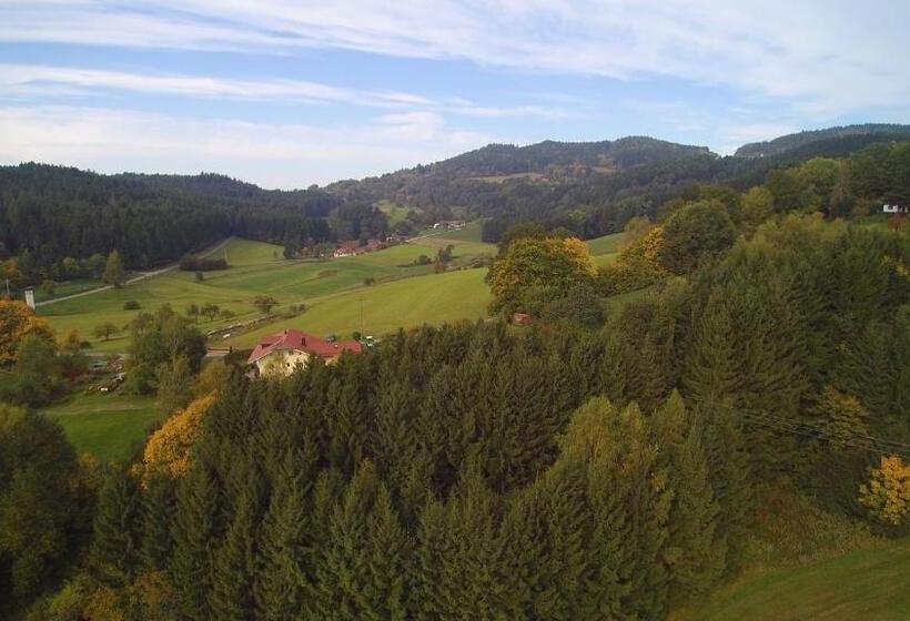Номер Стандарт с Балконом, Bayerischer Wald