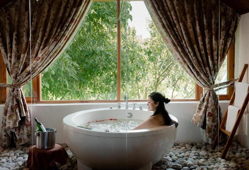 Люкс Deluxe Вид на Горы, Larisa Resort Manali