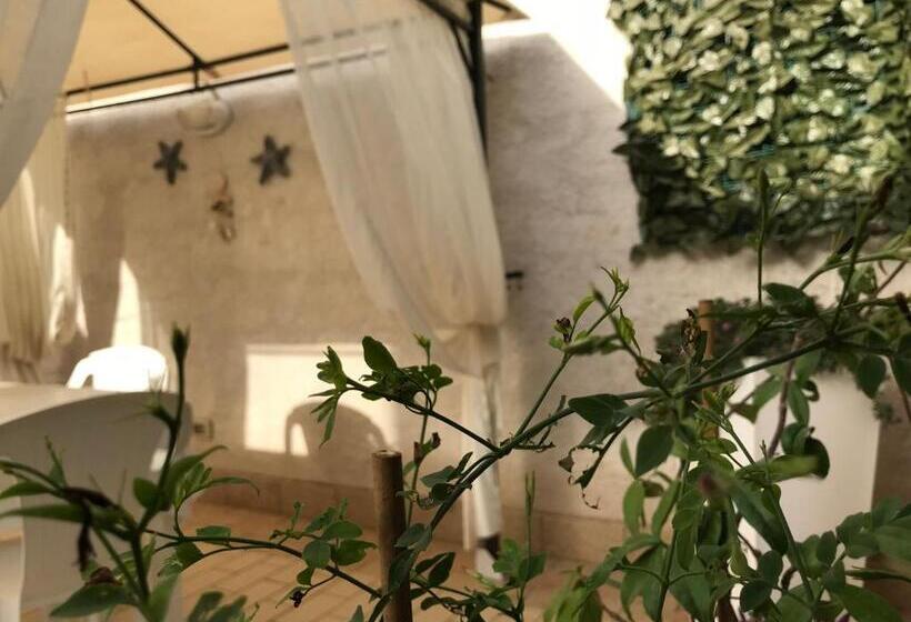 标准间, Trapani Home