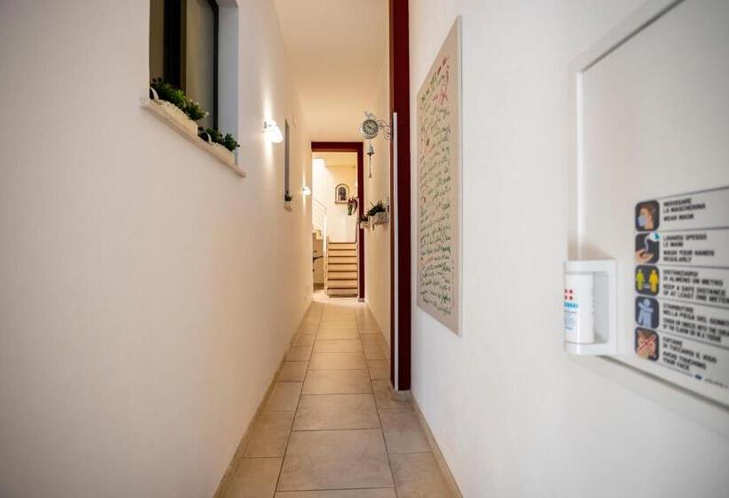 四人高级间, Trapani Home