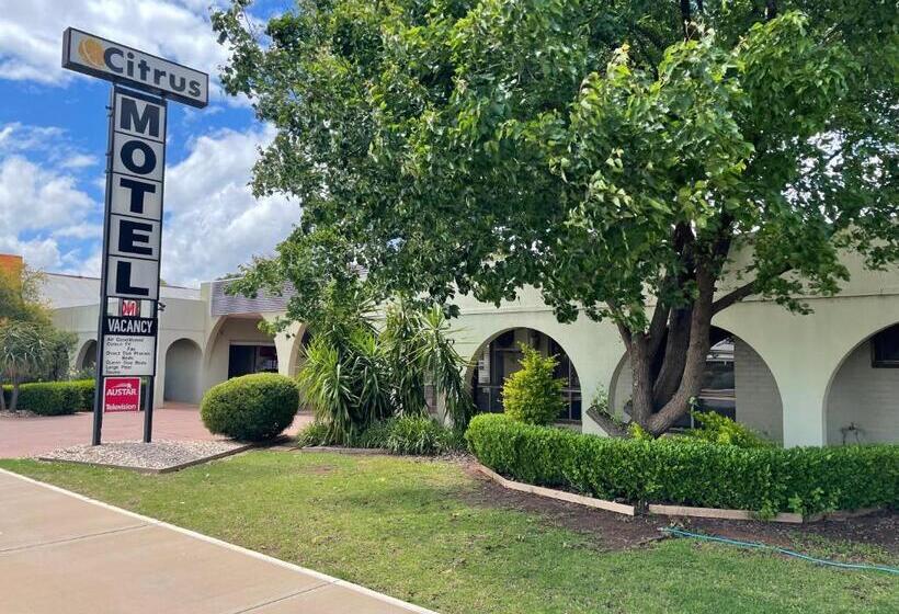 Quarto Estandar, Citrus Motel