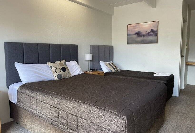 Номер Стандарт Трехместный, Citrus Motel