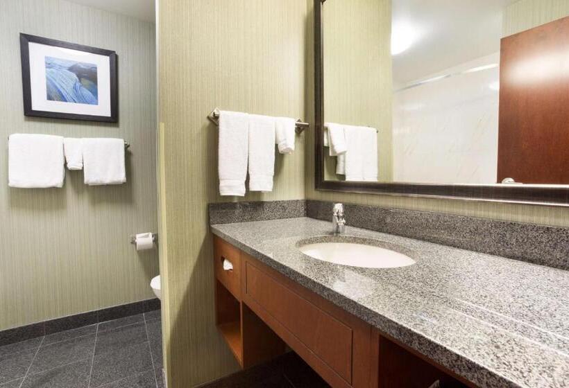 适合残疾人士使用的高档房间, Drury Inn & Suites Colorado Springs Near The Air Force Academy