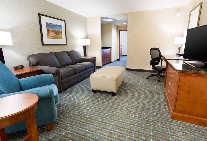 适合残疾人士使用的套间, Drury Inn & Suites Colorado Springs Near The Air Force Academy
