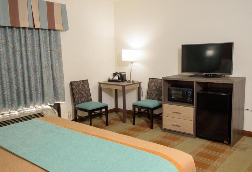 غرفة قياسية سرير كينج, Pigeon River Inn