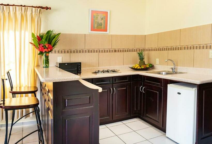 Студия Стандарт, Cabarete Palm Beach Condos
