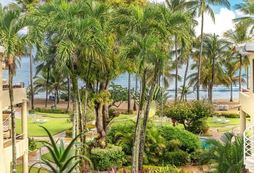 Студия Стандарт, Cabarete Palm Beach Condos