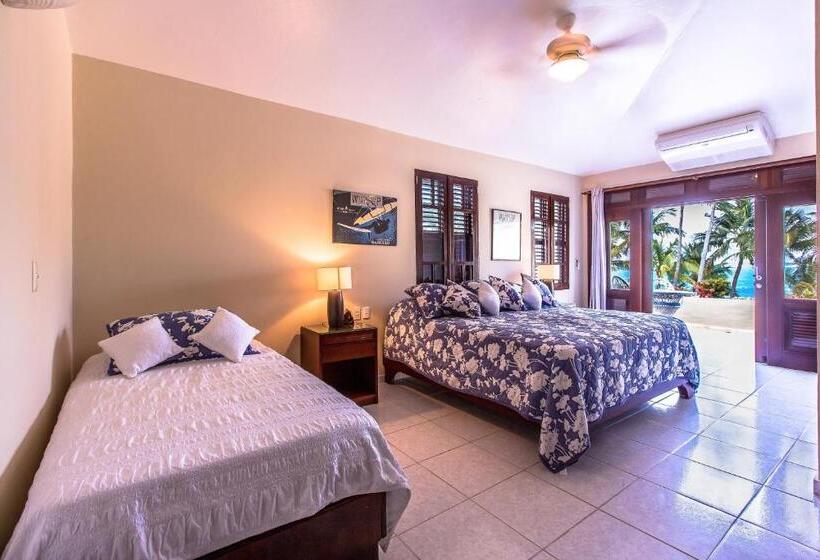 Апартаменты Пентхаус 1 Спальня, Cabarete Palm Beach Condos
