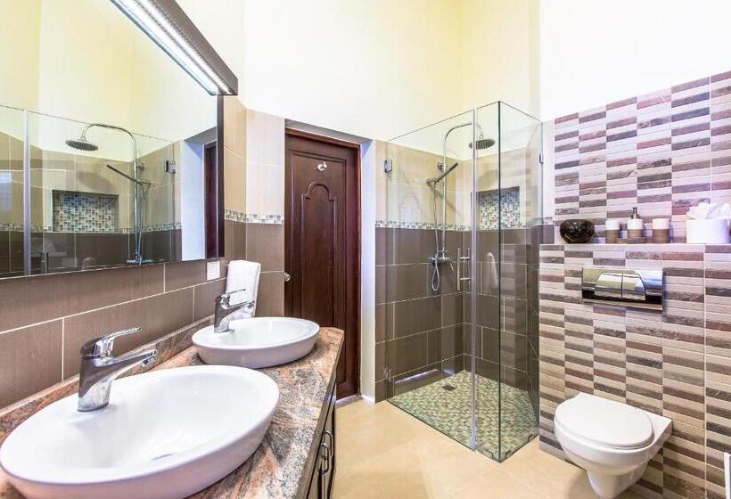 Апартаменты Пентхаус 1 Спальня, Cabarete Palm Beach Condos