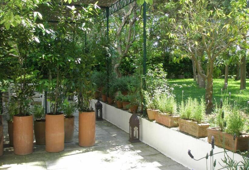 اتاق استاندارد با چشم‌انداز باغ, Tenuta Belvedere