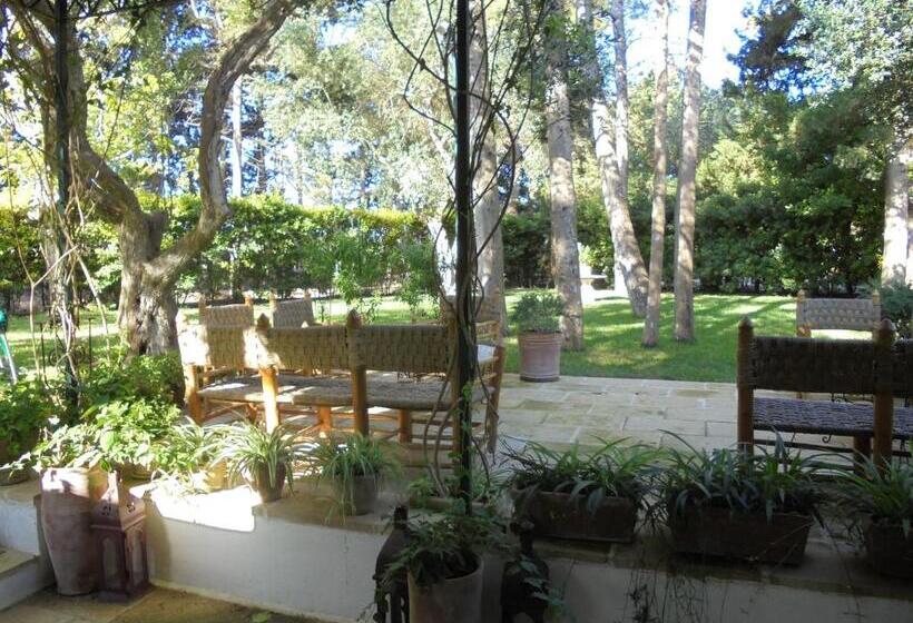 اتاق کلاسیک با تراس, Tenuta Belvedere