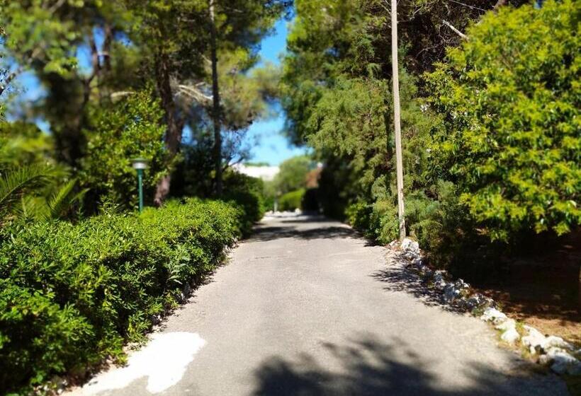 آپارتمان 2 خوابه, Tenuta Belvedere