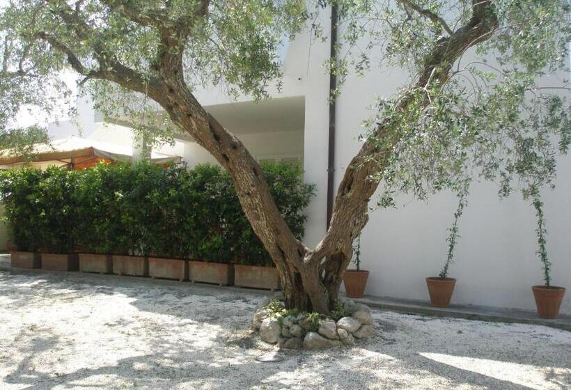 آپارتمان 2 خوابه, Tenuta Belvedere