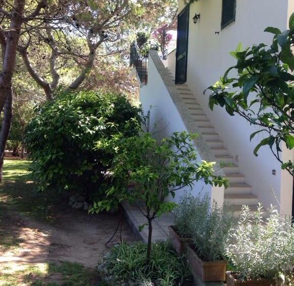 اتاق کلاسیک با تراس, Tenuta Belvedere