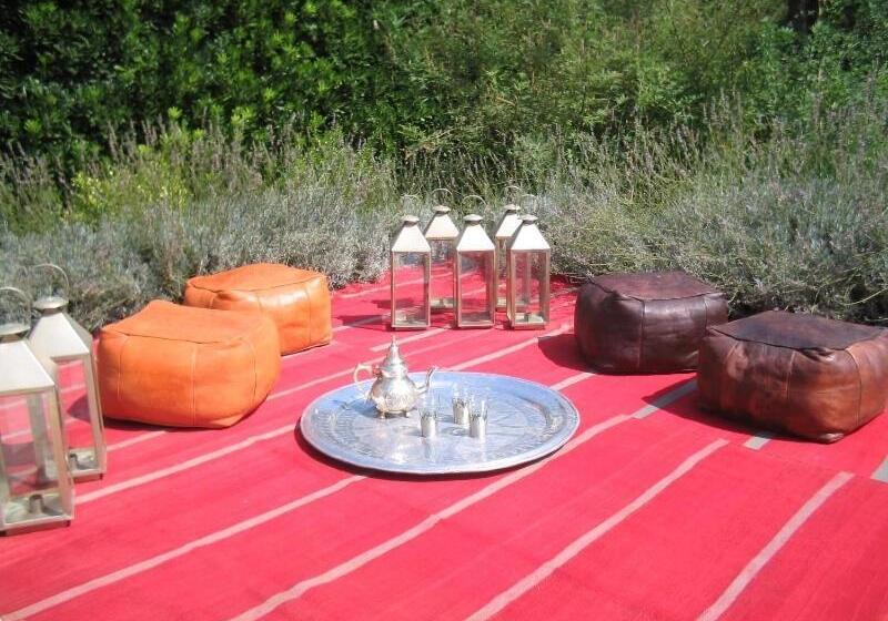 اتاق اکونومی, Tenuta Belvedere
