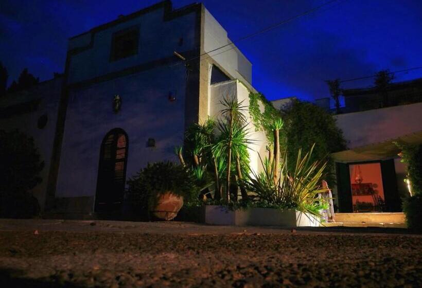 اتاق اکونومی, Tenuta Belvedere