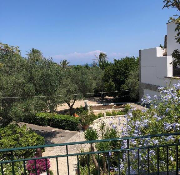 اتاق اکونومی, Tenuta Belvedere