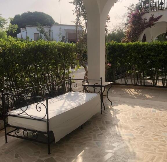 آپارتمان 1 خوابه همکف, Tenuta Belvedere