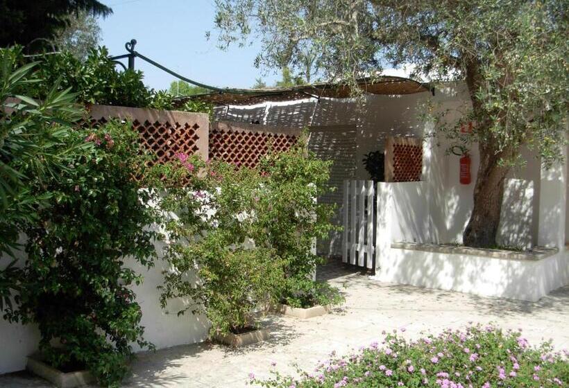 آپارتمان 1 خوابه با تراس, Tenuta Belvedere