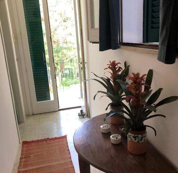 اتاق اکونومی, Tenuta Belvedere