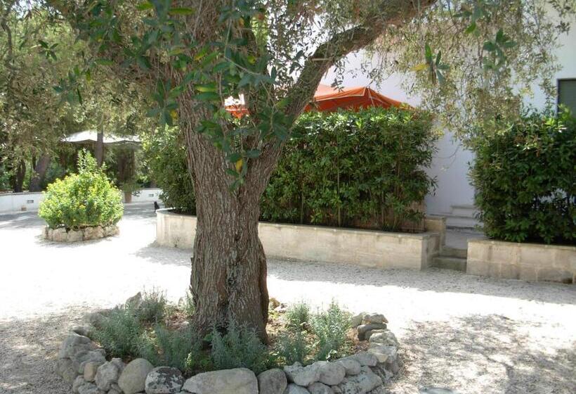 آپارتمان 3 خوابه, Tenuta Belvedere