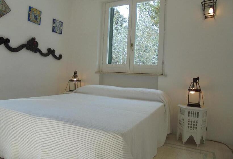 اتاق اکونومی, Tenuta Belvedere