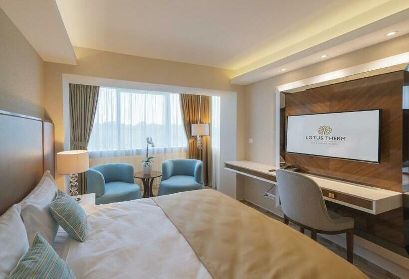 اتاق استاندارد یک نفره, Lotus Therm Spa&luxury Resort